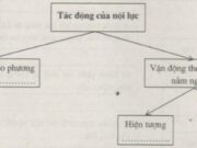 Bài 8. Tác động của nội lực đến địa hình bề mặt Trái Đất SBT Địa lớp 10: Nguồn năng lượng sinh ra nội lực chủ yếu là do đâu?