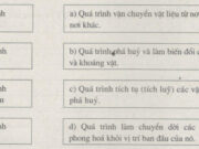 Bài 9. Tác động của ngoại lực đến địa hình bề mặt Trái Đất (tiếp theo) SBT Địa lớp 10: Điểm giống nhau cơ bản giữa nội lực và ngoại lực là gì?