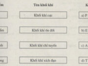 Bài 11. Khí quyển. Sự phân bố nhiệt độ không khí trên Trái Đất SBT Địa lớp 10: Cho biết sự khác nhau giữa frông và dải hội tụ nhiệt đới ?