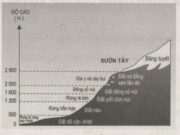 Bài 19. Sự phân bố của sinh vật và đất trên Trái Đất SBT Địa lớp 10: Hãy giải thích sự thay đổi của thực vật và đất theo độ cao?