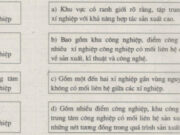 Bài 33. Một số hình thức chủ yếu của tổ chức lãnh thổ công nghiệp SBT Địa lớp 10: Khu công nghiệp tập trung có đặc điểm gì?