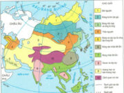 Bài 3. Sông ngòi và cảnh quan châu Á – Địa lí 8: Sông Mê Công (Cửu Long) chảy qua nước ta bắt nguồn từ sơn nguyên nào?