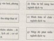 Bài 35. Vai trò, các nhân tố ảnh hưởng và đặc điểm phân bố các ngành dịch vụ SBT Địa lớp 10: Trình bày đặc điểm phân bố các ngành dịch vụ trên thế giới