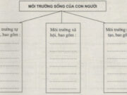 Bài 41. Môi trường và tài nguyên thiên nhiên SBT Địa lớp 10:  Vì sao chúng ta cần bảo vệ môi trường?