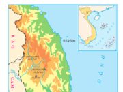 Bài 5. Tây Nguyên – Địa lí 4: Dựa vào bảng số liệu, em hãy xếp các cao nguyên theo thứ tự từ thấp đến cao.