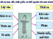 Bài 2. Trao đổi chất ở người – Khoa hoc 4: Viết hoặc vẽ sơ đồ sự trao đổi chất giữa cơ thể người với môi trường theo trí tưởng tượng của bạn