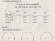 Bài 22 SBT Địa 8 trang 54,55: Nhận xét về sự chuyển biến kinh tế theo ngành của nước ta từ 1990 đến 2007