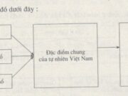 Bài 23 SBT Địa 8 trang 56,,57,58 : Đo và tính khoảng cách từ Đông sang Tây, nơi rộng/hẹp nhất nước ta