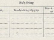 Bài 24 SBT Địa 8 trang 59,60: Biển Đông tiếp giáp với những biển nào?