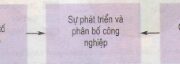 Bài 11. Các nhân tố ảnh hưởng đến sự phát triển và phân bố công nghiệp – Địa lí 9: Thị trường có ý nghĩa như thế nào với sự phát triển công nghiệp