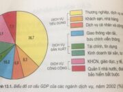 Bài 13. Vai trò đặc điểm phát triển và phân bố của dịch vụ – Địa lí 9: Cho ví dụ chứng minh rằng nên kinh tế càng phát triển thì các hoạt động dịch vụ càng trở nên đa dạng