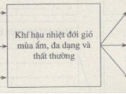 Bài 31SBT Địa lớp 8 tranng 77,78,79: Trình bày các nhân tố khí hậu nước ta