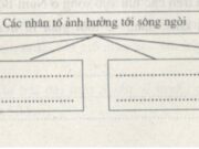 Bài 34 SBT Địa 8 trang 84,85: Nêu đặc điểm các hệ thống sông lớn ở Việt Nam