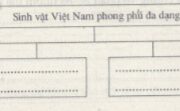 Bài 37 SBT Địa 8: Nêu những biểu hiện và nguyên nhân sự giàu có về thành phần loài sinh vật Việt Nam