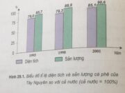 Bài 29. Vùng Tây Nguyên (tiếp theo) – Địa lí 9: Hãy nhận xét tình hình phát triển nông nghiệp ở Tây Nguyên