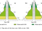 Bài 5. Thực hành: Phân tích và so sánh tháp dân số năm 1989 và năm 1999 SBT Địa lớp 9: Nối ô chữ ở bên trái với các ô chữ thích hợp ở bên phải để giải thích đúng nguyên nhân của sự thay đổi cơ cấu dân số theo độ tuổi