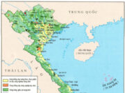 Bài 8. Sự phát triển và phân bố nông nghiệp SBT Địa lớp 9: Dựa vào hình 8.2. Lược đồ nông nghiệp Việt Nam, tr.30 SGK, hãy hoàn thành bảng sau