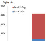 Bài 9. Sự phát triển và phân bố lâm nghiệp, thủy sản SBT Địa lớp 9: Việc trồng rừng đem lại lợi ích gì? Tại sao chúng ta vừa khai thác lại vừa phải bảo vệ rừng