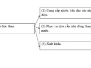 Bài 19. Thực hành: Đọc bản đồ, phân tích và đánh giá ảnh hưởng của tài nguyên khoáng sản đối với phát triển công nghiệp ở Trung du và miền núi Bắc Bộ SBT Địa lớp 9: Dựa vào kiến thức đã học và sự hiểu biết của bản thân, hãy đưa các cụm từ cho sẩn dưới đây vào ô trống, nối các ô để hoàn thành sơ đồ thể hiện mối quan hệ giữa sản xuất và tiêu thụ than theo mục đích xuất khẩu?