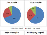 Bài 30. Thực hành: So sánh tình hình sản xuất cây công nghiệp lâu năm ở Trung du và Miền núi Bắc Bộ với Tây Nguyên SBT Địa lớp 9:  Điền nội dung còn thiếu vào các chỗ trống dưới đây để hoàn thành báo cáo về tình hình sản xuất, phân bố và tiêu thụ sản phẩm của cây cà phê (hoặc cây chè)