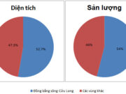 Bài 36. Vùng Đồng bằng sông Cửu Long (tiếp theo) SBT Địa lớp 9: Dựa vào bảng số liệu trên, vẽ biểu đồ thể hiện tỉ lệ diện tích, sản lượng lúa năm 2010 của vùng Đồng bằng sông Cửu Long so với cả nước