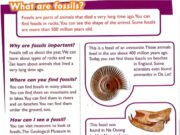 Extensive reading: Fossils – Family & Friends Special Edittion Grade 5: Draw of find a picture of an animal that lived in the past.