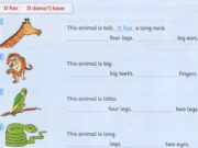 Review 4 – Family & Friends Special Edittion Grade 2: Look at the pictures and write.