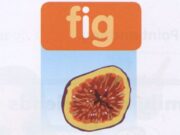 Lesson Four: Phonics Unit 12 – Family & Friends Special Edittion Grade 2: Circle the I in the middle of the words.