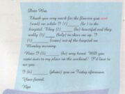 Write – Viết – Unit 9 – Trang 84 – Tiếng Anh 8: Write a thank-you note to a friend. Invite your friend to go on a picnic with you.