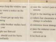 Language focus – trang 86 – Unit 9 – Tiếng Anh 8: Complete the dialogue. Use the correct word or short form.