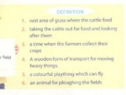 C. Speaking – Unit 2 – Sách bài tập Tiếng Anh 8 thí điểm: Choose one of the words below and make a mini-talk in which the word is used.