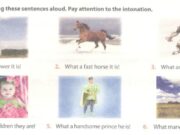 A. Phonetics – Unit 6 – Sách bài tập Tiếng Anh 8 thí điểm: Practise the conversations with your friend about the pictures below. Follow the example.