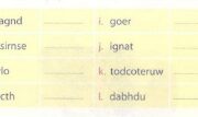 B. Vocabulary & Grammar – Unit 6 – Sách bài tập Tiếng Anh 8 thí điểm:  Complete the chart. Use the animals from 1 as well as any animals you know.