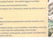 E. Writing – Unit 9 – Sách bài tập Tiếng Anh 7 thí điểm: Using the information given in the table below to write a short paragraph about Boryeong Mud Festival in South Korea.