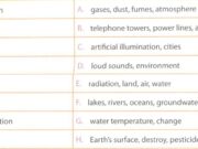 B. Vocabulary and Grammar – Unit 7 – Sách bài tập Tiếng Anh 8 thí điểm:  Complete the sentences, using the correct form of the words in brackets.