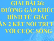 Bài 26: Đường gấp khúc. Hình tứ giác trang 102, 103, 104, 105 Toán lớp 2 Kết nối tri thức