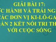 Bài 17: Thực hành và trải nghiệm với các đơn vị ki-lô-gam, lít trang 66, 67, 68, 69 SGK Toán 2