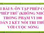 Bài 5: Ôn tập phép cộng, phép trừ (không nhớ) trong phạm vi 100 trang 19, 20, 21, 22 Toán lớp 2 Kết nối tri thức