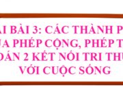 Bài 3: Các thành phần của phép cộng, phép trừ trang 13, 14, 15 Toán lớp 2 tập 1 SGK Kết nối tri thức