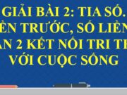 Bài 2: Tia số. Số liền trước, số liền sau trang 10, 11, 12 SGk Toán lớp 2 Kết nối tri thức với cuộc sống