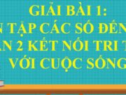 Bài 1: Ôn tập các số đến 100 trang 6, 7, 8, 9 SGK Toán lớp 2 Kết nối tri thức