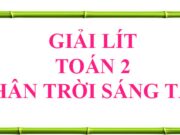 Giải Toán lớp 2 trang 76: Lít