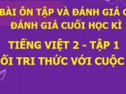 Ôn tập và đánh giá cuối kì 1 Tiếng Việt lớp 2 SGK Kết nối tri thức với cuộc sống