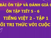 Giải bài Ôn tập và đánh giá cuối kì 1 – Tiết 5 – 6 Tiếng Việt lớp 2