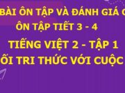 Tiết 3, 4 Ôn tập và đánh giá cuối kì 1 Tiếng Việt lớp 2 Kết nối tri thức với cuộc sống