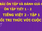 Tiết 1, 2 Ôn tập và đánh giá cuối kì 1 Tiếng Việt 2 Kết nối tri thức