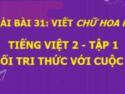 Viết Chữ hoa P Tiếng Việt lớp 2