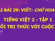 Viết Chữ hoa Ô, Ơ SGK Tiếng Việt lớp 2