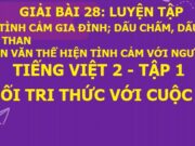 Bài 28: Luyện tập trang 121 SGK Tiếng Việt 2 tập 1 Kết nối tri thức với cuộc sống