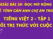 Bài 26: Đọc mở rộng Chủ đề Tình cảm anh chị em trong nhà Tiếng Việt lớp 2